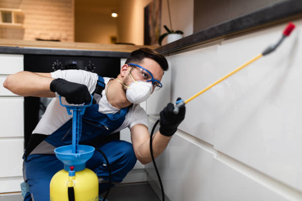 Best Pest Inspection Near Me  in Los Banos, CA