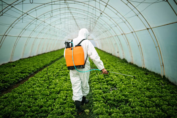  Los Banos, CA Pest Control Pros