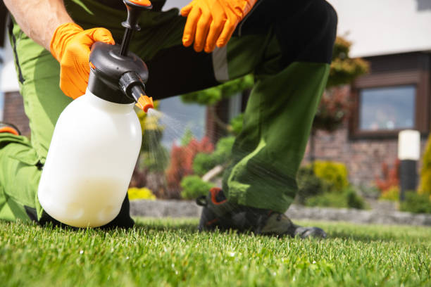 Trusted Los Banos, CA Pest Control Experts