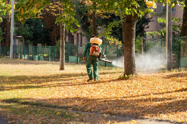 Best Cockroach Control Services  in Los Banos, CA